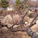 김해건설공업고등학교 이미지