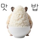 짬뽕의기수 네이버블로그