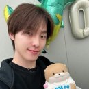 디노케이크