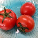 남해농장 이미지