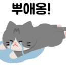 맥도날드 옥포 SK DT점