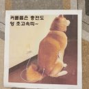 OX PC 이미지