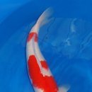 광릉금리원 이미지