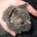 강앤정 동물병원 이미지