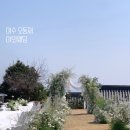참플레르 이미지