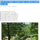 우영카센타 | (7월28일)오늘의역사와 랭킹뉴스 : 승려 &#34;대게는 주호영이 공양.. 수산업자가 10마리 갖고 왔다...