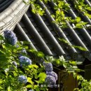 성림목장 이미지