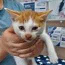 인월동물병원 이미지