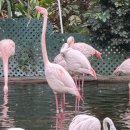 옷빼고다 | [2일차] 의식의 흐름대로 홍콩여행 뱉어내기