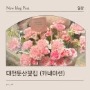1262 | 대전 꽃 어버이날 카네이션 고민이면 여기! 대전 둔산 비올레뜨 꽃집