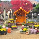 쉬자파크 | 11월 양평 쉬자파크 단풍후기, 늦가을 산책·맨발걷기 코스 추천