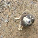 석인농장 이미지