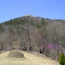 4월6(금)[ 08:00 출발] 전남 여수 영취산 호랑산 (해발673m) 종주 참꽃축제 이미지