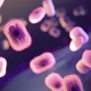 진에너지 이미지