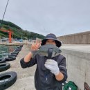 송죽낚시 - 영덕군 | 송죽낚시