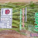 강회농장 이미지