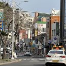 천제연로 이미지