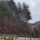 오로라파크 눈꽃전망 | 태백 갈만한곳 통리탄탄파크 조명 터널 &amp; 오로라파크 입장권 꿀팁 총정리