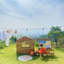 비행기나무 | 인천 강화도 독채 키즈펜션 비행기나무 찐 후기!