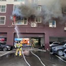 청도군-10 이미지