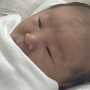 희망의아침 | 무통천국 미래와희망 4박 5일 제왕절개 출산 후기(1월1일 새해 베이비)