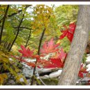 풍경소리길 이미지