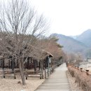 도교2교 이미지