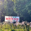 문희꽃밭 이미지