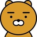라이언