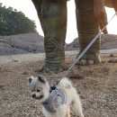 와우 동물병원 이미지