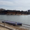 총각네애견 | 전주 반려동물 동반 여행 코스 추천 식당, 카페, 가볼 만한 곳 / 전주 한옥마을 애견동반 여행