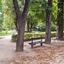 a some day 이미지