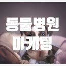 위너동물병원 이미지