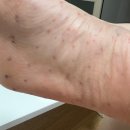 세란통마취통증의학과의원 이미지