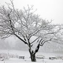 운주목장 이미지