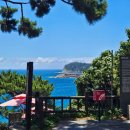 세븐일레븐 제주외도해피점 | 마지막 제주일기! 2박 3일 너무 행복했다(4) - 사람없는 예카추천, 정방폭포, 그리고 제주의 말