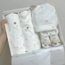임신 16주~33주 기록🤰🏻❤️ 후루룩 지나간 중기부터 후기까지