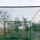 안양위너스골프클럽 이미지