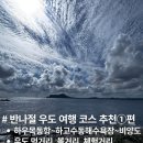 해광전기 - 사하구 낙동대로250번길 11 | 반나절 우도여행코스추천①편｜제주 우도 하우목동항~하고수동해수욕장~비양도까지 먹거리, 볼거리...