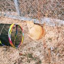 의성(청주)휴게소 화장실 이미지