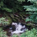 청정계곡 | 청정 자연 지역인 미사리계곡