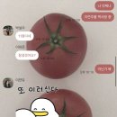 만불 | 여름은톡쏘는레몬맛