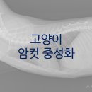 희영메디칼 네이버블로그