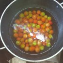 한마음토마토농장