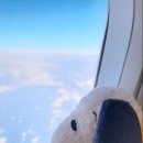 유니코리아 이미지