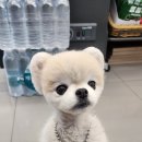 현송한의원 이미지