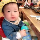 하진 Daum카페