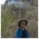 두무제 Daum카페