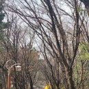 고리울어린이공원 이미지