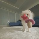 멍플레이스 이미지